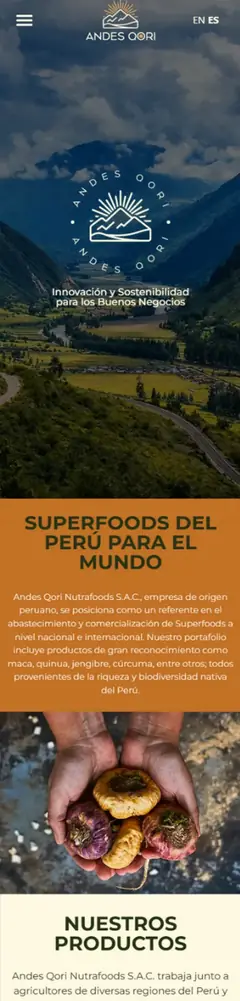 Proyecto responsive